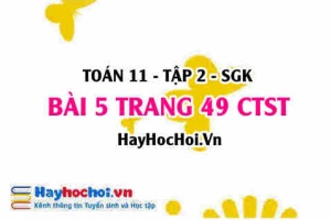 Bài 5 trang 49 Toán 11 tập 2 Chân trời sáng tạo